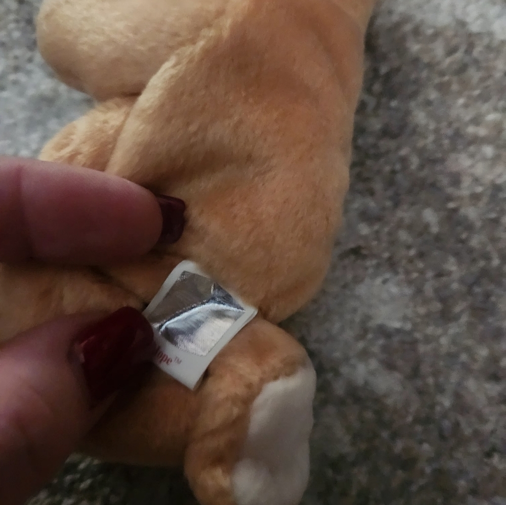 Beanie Baby Hope Praying Bear - Picture 4 of 6